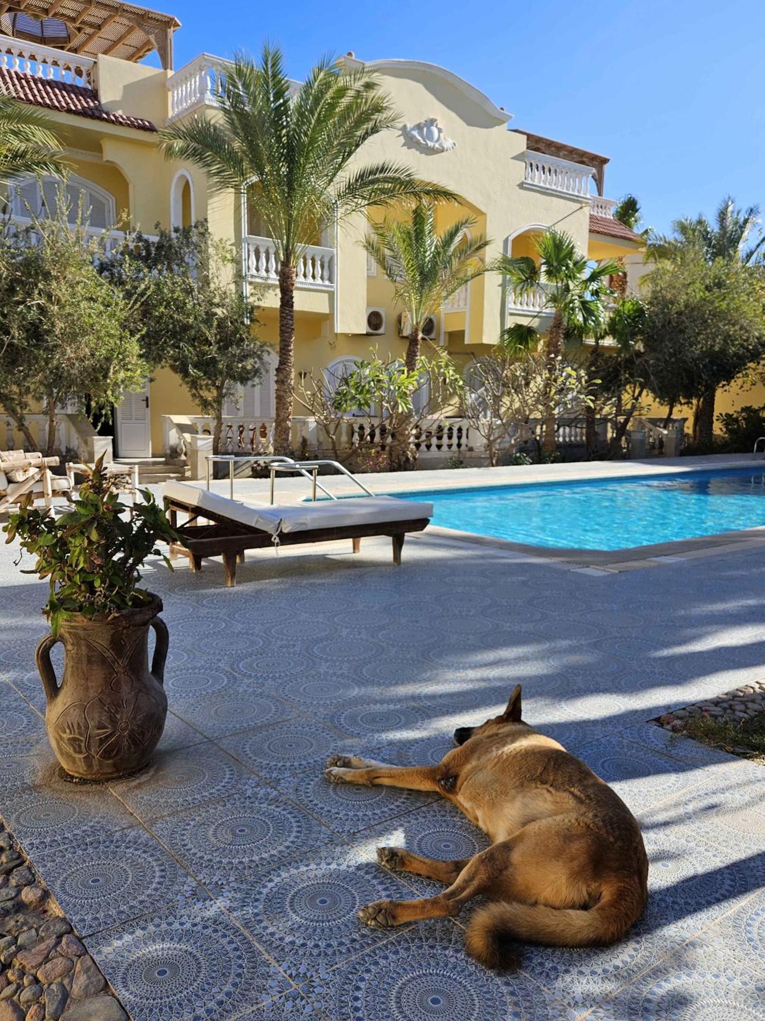 Villa Shahrazad Хургада Екстер'єр фото
